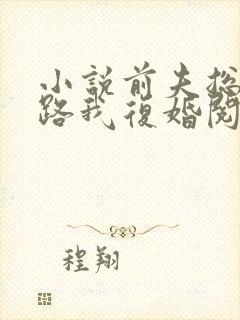 小说前夫总想套路我复婚阅读