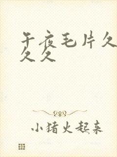 午夜毛片久久久久久