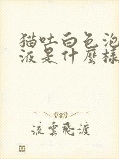 猫吐白色泡沫粘液是什么样子的