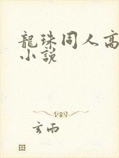 龙珠同人高质量小说