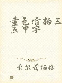 黄色偷拍三级一区中字