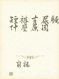 短裤有尿骚味是什么原因封面