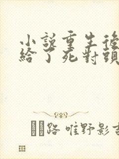 小说重生后我嫁给了死对头