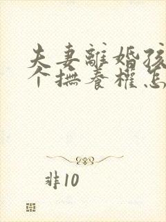 夫妻离婚孩子两个抚养权怎么判定