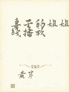 妻子的姐姐3在线播放封面