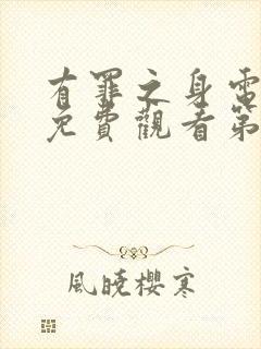 有罪之身电视剧免费观看第11集播放封面