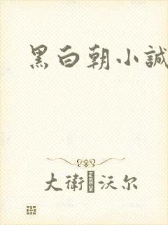 黑白朝小诚
