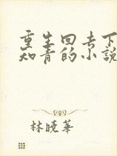 重生回去下乡做知青的小说