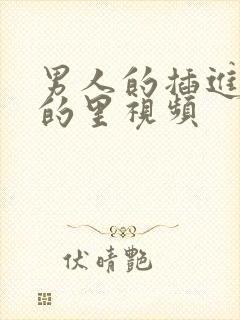 男人的插进女人的里视频