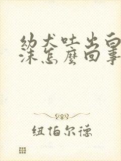 幼犬吐出白色泡沫怎么回事