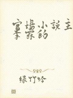 官场小说主角叫李霖的