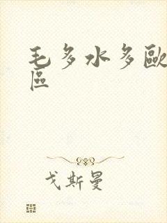 毛多水多欧美一区封面