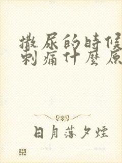 撒尿的时候尿道刺痛什么原因