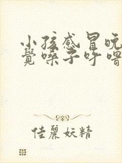 小孩感冒晚上睡觉嗓子呼噜呼噜的是有痰吗封面