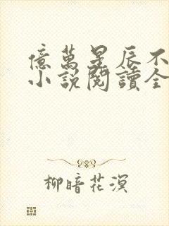 亿万星辰不及你小说阅读全文封面