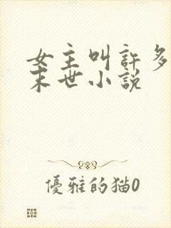 女主叫许多多的末世小说