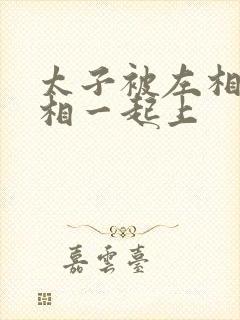 太子被左相和右相一起上