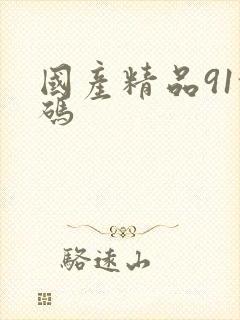 国产精品91乱码