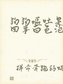 狗狗呕吐是怎么回事白色泡沫