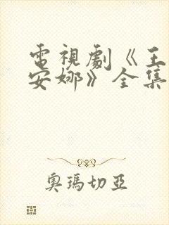 电视剧《王贵与安娜》全集免费观看