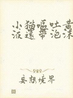 小猫呕吐黄色粘液还带泡沫