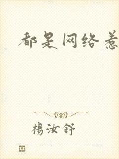 都是网络惹的祸封面