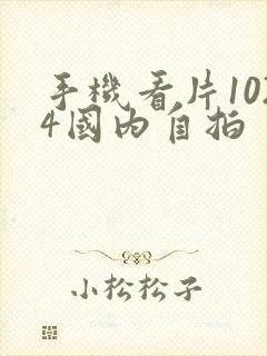 手机看片1024国内自拍