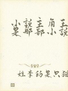 小说主角王斌 是哪部小说封面