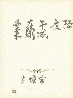 爱在午夜降临前未删减