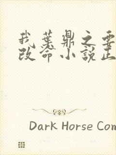 我叶鼎之要逆天改命小说正版阅读