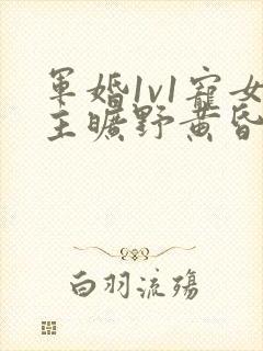 军婚1v1宠女主旷野黄昏