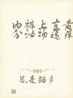 内裤上有黄黄的分泌物还痒是怎么回事