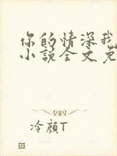 你的情深我不配小说全文免费阅读全文封面