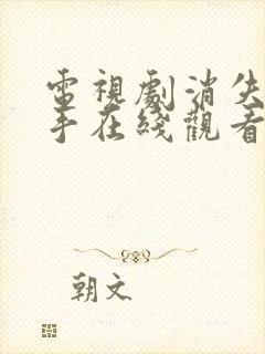 电视剧消失的凶手在线观看完整版免