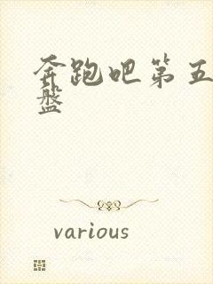 奔跑吧第五季网盘