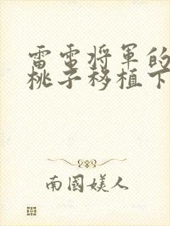 雷电将军的惩罚桃子移植下载