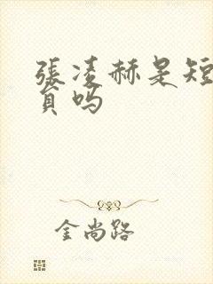 张凌赫是短剧演员吗