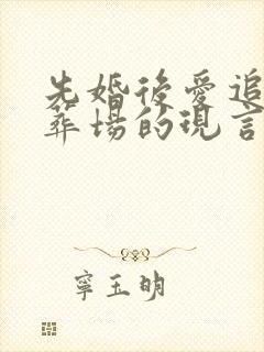 先婚后爱追妻火葬场的现言小说