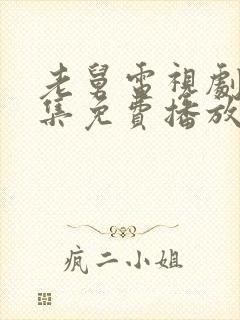 老舅电视剧40集免费播放封面