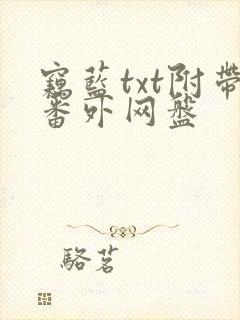 窃蓝txt附带番外网盘封面