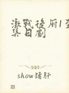 激战后厨1至5集日剧