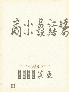 宋小易江晓萍吴刚小说结局封面