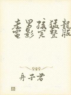 老男孩猛龙过江电影完整版在线观看封面