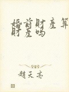 婚前财产算共同财产吗