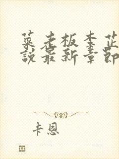 菜老板李芷珊小说最新章节