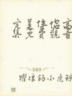 完美伴侣高清全集免费观看封面