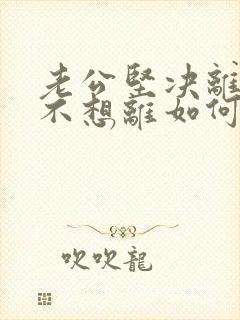 老公坚决离婚我不想离如何挽回封面