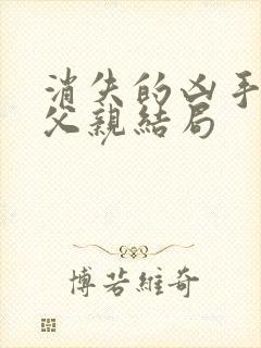 消失的凶手苏然父亲结局封面