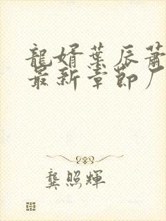 龙婿叶辰萧初然最新章节厂