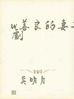 w善良的妻子韩剧
